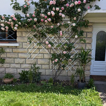Cosy Appartment With Access To Garden, Parking And Direct Line To Eiffel Tower Saint-Gratien  Exterior photo